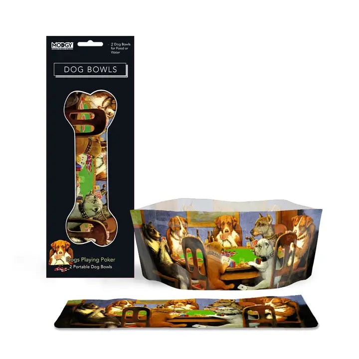 Modgy Expandable Dog Bowl